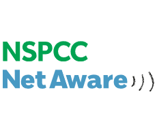 NetAware_logo